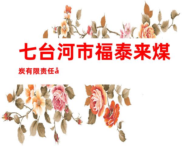 七台河市福泰来煤炭有限责任公司一井
