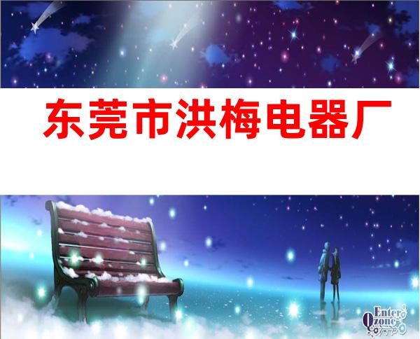 东莞市洪梅电器厂