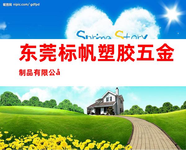 东莞标帆塑胶五金制品有限公司