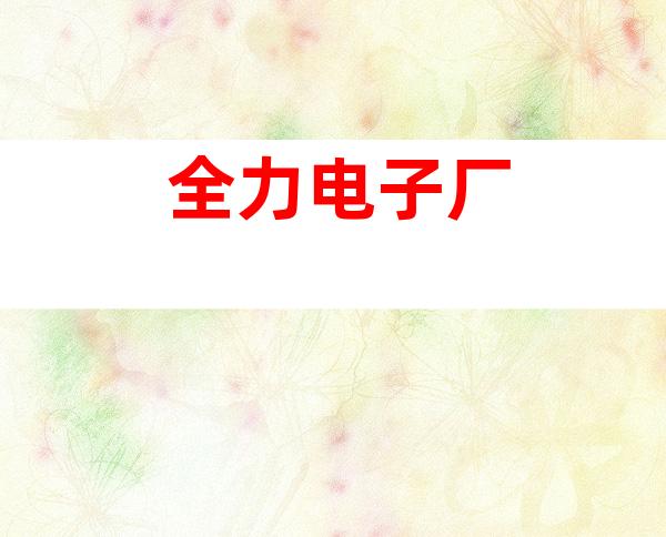 全力电子厂
