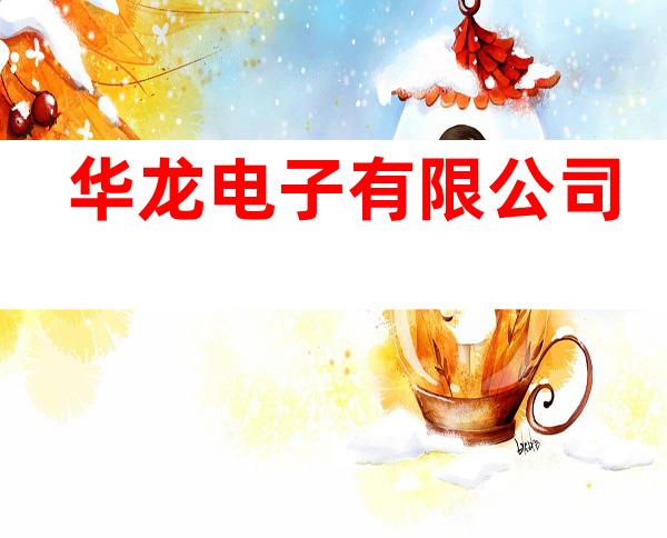 华龙电子有限公司