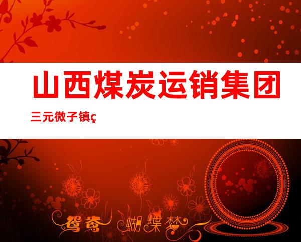 山西煤炭运销集团三元微子镇煤业有限公司