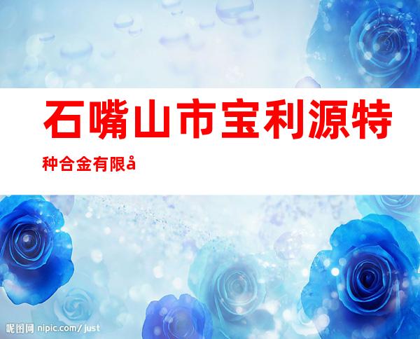 石嘴山市宝利源特种合金有限公司