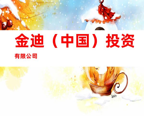 金迪(中国)投资有限公司